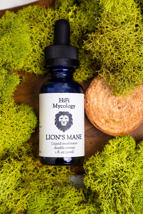 Lion's Mane Tincture